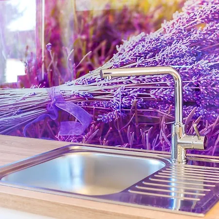 Apartament Evergreen *