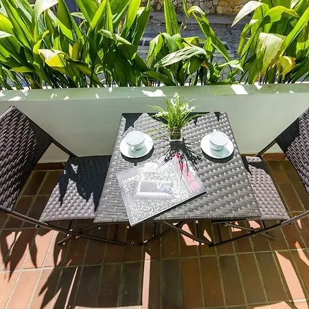 Evergreen * 扎达尔